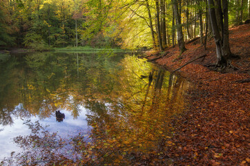 jeziorko duszatyńskie jesienią