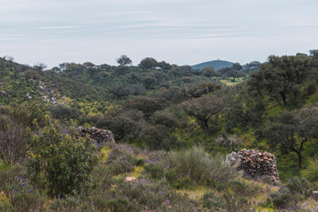 Fototapeta na wymiar Beautiful landscape of the national park of Monfrague Caceres, Extremadura, Spain, Europe