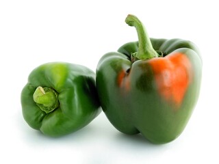 multicolor fruits of sweet pepper vegetable close up