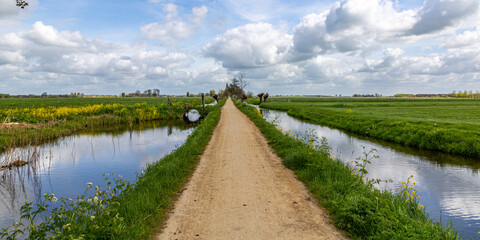 Farbenexplosion in den Niederlanden