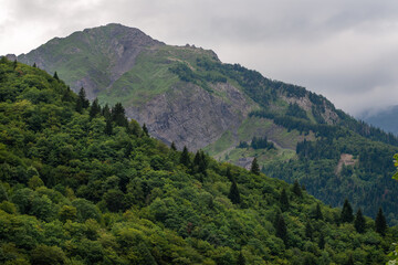 Obraz premium Rocky peak and mountain forest