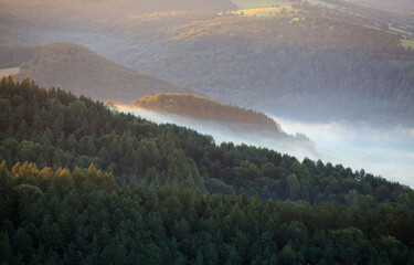 foggy morning in the mountains