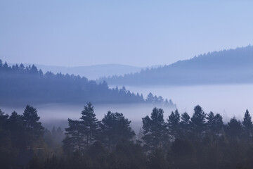 misty morning on the Bieszczady mountains