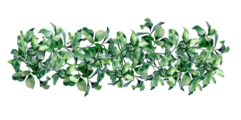 Watercolor illustration.  Border made of green leaves.  For printing, cards, invitations, wrapping paper, envelopes, weddings, design