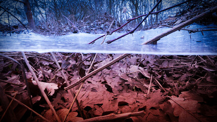 Das Eis hat eine schwebende Oberfläche im Wald gebildet, als wäre im Winter nur der Wasserspiegel...