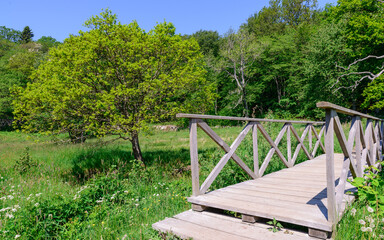 Fototapeta premium A wooden bridge connects two green meadows in Ekkodalen on Bornholm. On a summer day like this, the trees, stream and flowers are just beautiful.