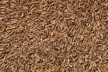 Fotobehang cumin seed close-up background pattern © Alexander Gogolin