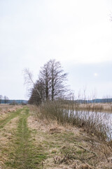 Scenery. The road along the river bank.