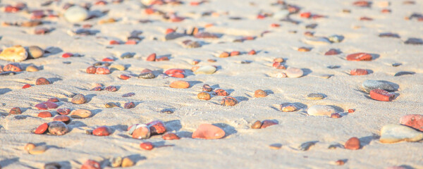 Fototapeta premium small pebbles on the golden sand of the beach under the sun
