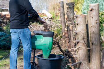 A worker is shredding branches of a Thuja hedge in a electric shredder.