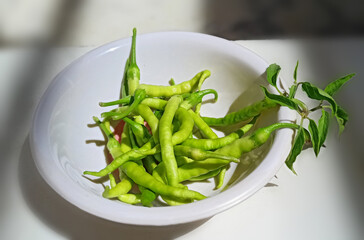 green chili in a bowl