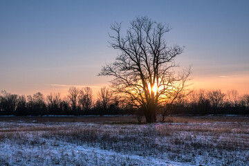 Fototapeta na wymiar Winter sunset in the field