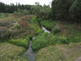 stream in the forest
