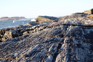 Rocky Shore