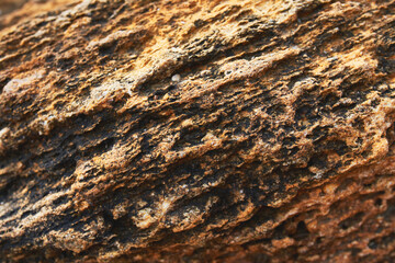 Yellow stone texture, close up.