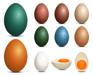 Eggs set vector design illustration isolated on white background
