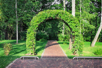 Fototapeta premium Arch made by clamber oak tree in the park of Mezhyhirya Residence, Novi Petrivtsi village, Vyshhorod Raion, Ukraine