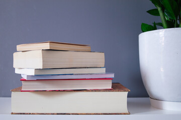 group of reading books on grey background and green plant