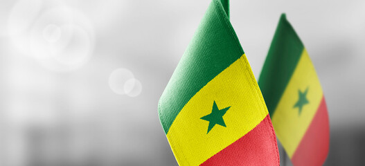 Small national flags of the Senegal on a light blurry background - obrazy, fototapety, plakaty