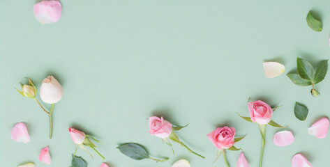 pink and white flowers on green  paper  background