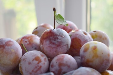 plums on a table