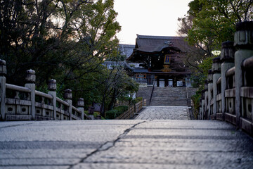 Fototapeta premium 日本の寺社