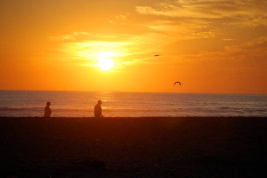Beach with sea lions, waves, birds, couple silhouette in the sunset & clouds 