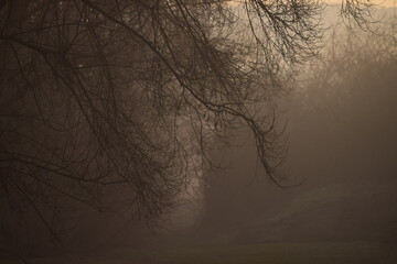 Obraz premium pale Light