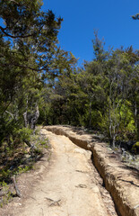 Chemin de randonnée, forêt du parc Abel Tasman, Nouvelle Zélande 