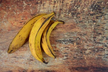 Fresh Plantain Bananas. Musa × paradisiaca © AmalliaEka