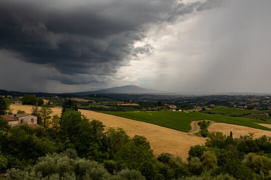 Una tempesta primaverile si abbatte su un campo di grano e sulla vicina vigna di chianti, nei pressi di Firenze 