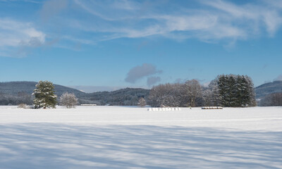 Winter field rural landscape with snowy trees and forest and man skier fugure on ski run. Cross-country skiing near village Cvikov in Lusatian Mountains, blue sky background, sunny winter day