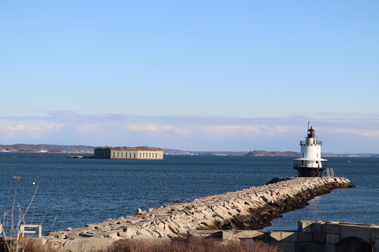Bug Light