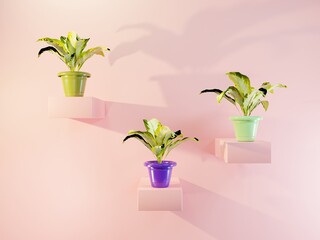 3d plant with colorful pot on pink background. 3d rendering illustration.
