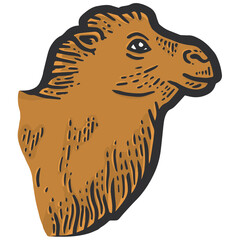 Animal fluffy, the head of a camel. Sketch scratch board color.