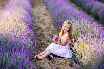 cute young girl collects lavender. A girl sits in lavender in the sun.