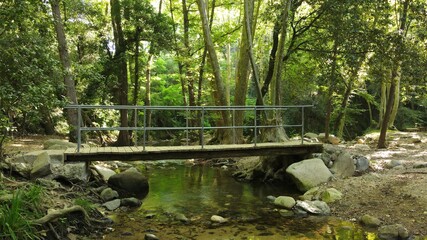 Naturaleza en Cataluña, bosques, rios y puentes