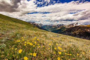 Maintaining Well Being: Hiking to the 11,000-foot high Froze-To-Death-Plateau, Absaroka-Beartooth Wilderness, Montana