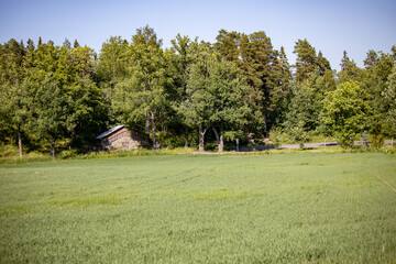 landscape with a barn, field and trees