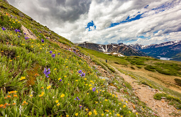 Maintaining Well Being: Hiking to the 11,000-foot high Froze-To-Death-Plateau, Absaroka-Beartooth Wilderness, Montana