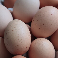 Organic Eggs
