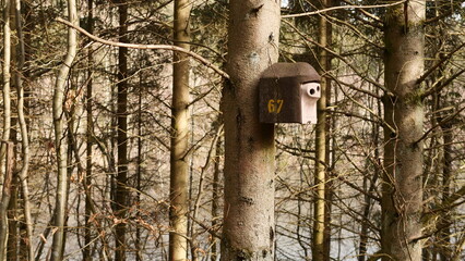 Vogelhaus im Wald