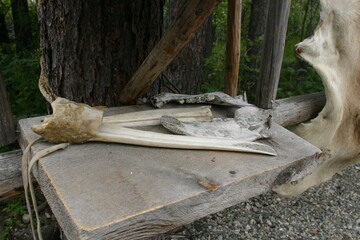 Alaska Tanning Skin Table, Athabaskan Village Museum, on the Chena River Tanana River Confluence...