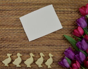 tulips and chick shaped cookies on brown background 