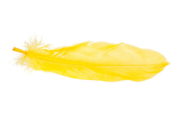 Fototapeta na wymiar Elegant yellow feather isolated on the white background