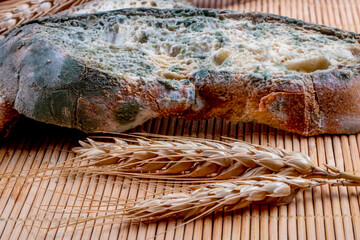 Moldy bread slices placed on wicker floor. Stale bread with aspergillus sp.