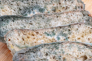 Moldy bread slices placed on wicker floor. Stale bread with aspergillus sp.