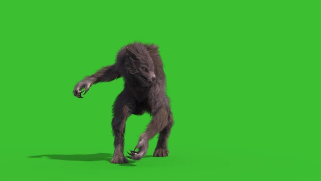 Werewolf Real Fur Green Screen Attacks Side 3D Rendering Animation 4K Horror