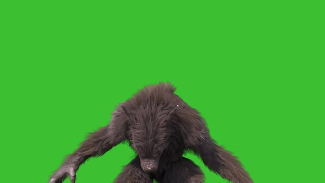 Werewolf Real Fur Green Screen Howls 3D Rendering Animation 4K Horror
