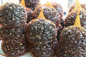  Mussel and oyster farm. A lot of mussels are sorted, packed in nets and prepared for shipment to the restaurant. Selective focus.